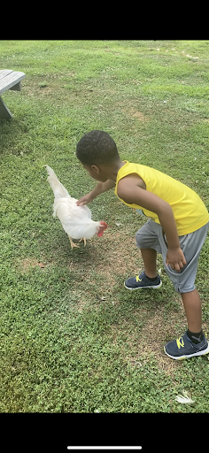 Zoo «3 Palms Zoo & Education Center», reviews and photos, 924 Blackbird Forest Rd, Clayton, DE 19938, USA