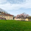 Akademie Schloss Rotenfels