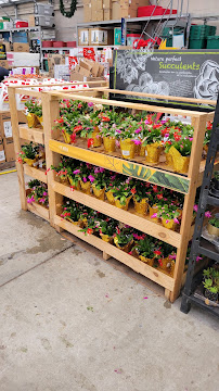 Lowe's Home Improvement - Photo 7 - Car repair in Cape Coral, FL, Cape Coral