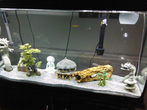 Community Center «Cliftondale Park Community Center», reviews and photos, 4645 Butner Rd, Atlanta, GA 30349, USA