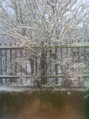 Comentarii opinii despre Хоспис „Здраве“