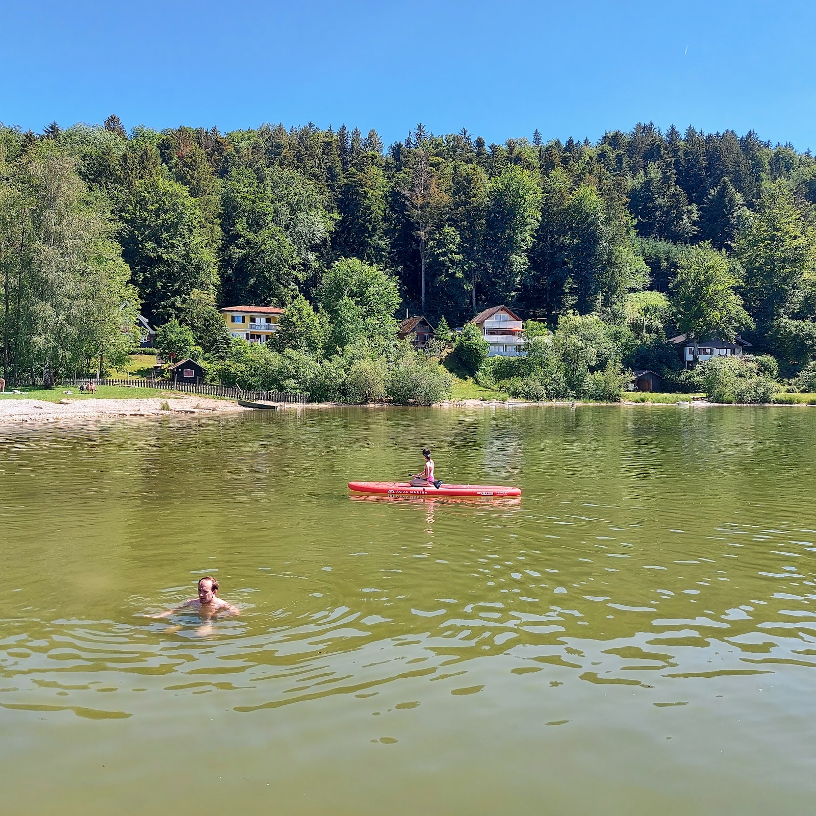 Wallersee Strand photo #5