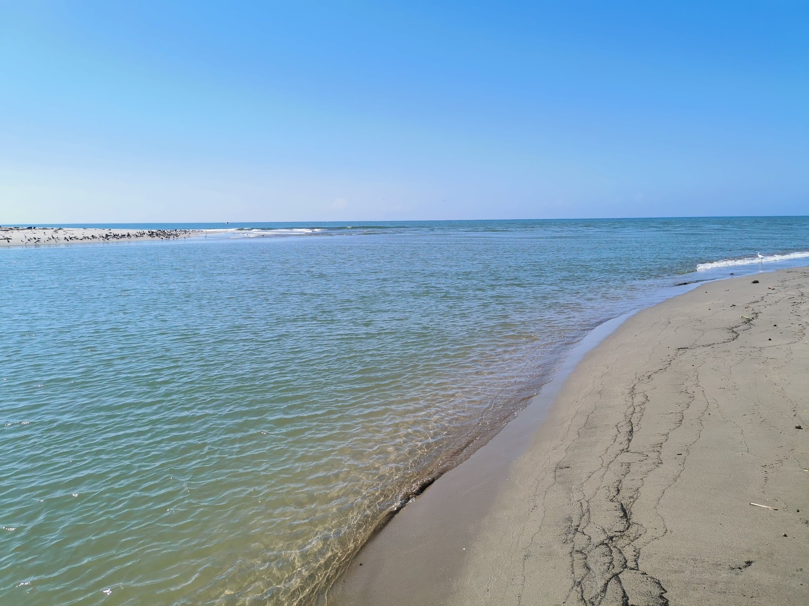 Foto av Playa Palapa med lång rak strand