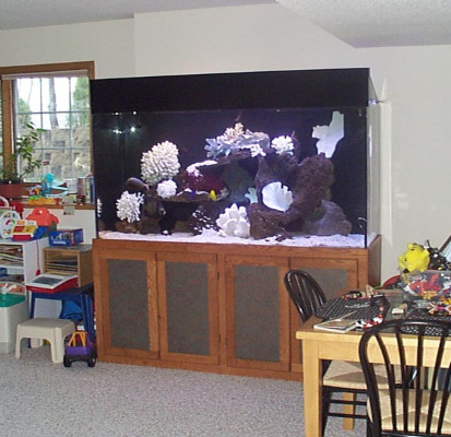 Aquarium «Advanced Aquarium Services», reviews and photos, 18451 152nd Ave N, Dayton, MN 55327, USA