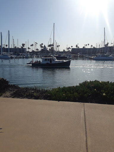 Safe Harbor Anacapa Isle image