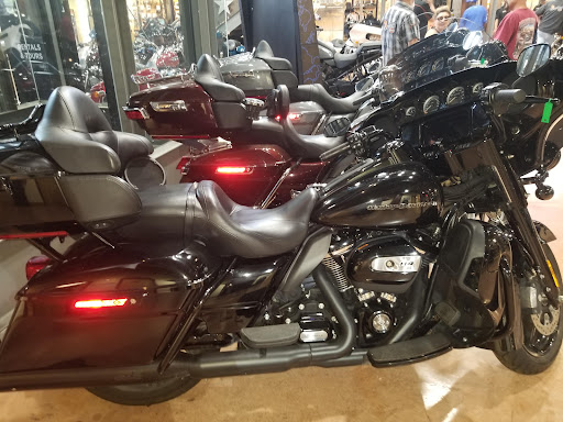 Motorcycle Dealer «Cowboy’s Alamo City Harley-Davidson», reviews and photos, 11005 I-35, San Antonio, TX 78233, USA