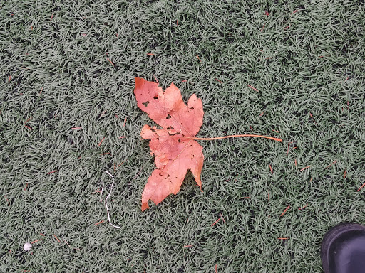 Park «Sacajawea Park», reviews and photos, 1401 S Dash Point Rd, Federal Way, WA 98003, USA