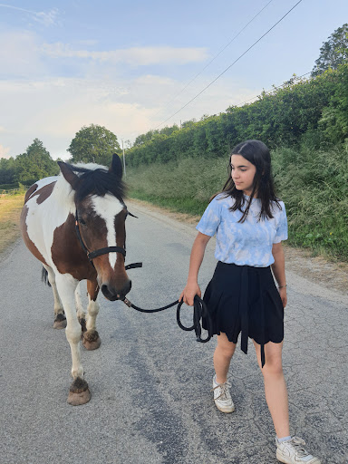 Centre Equestre Neuville Les Dames à Neuville-les-Dames, Ain