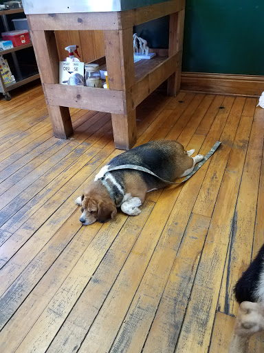 Georgetown Veterinary Clinic