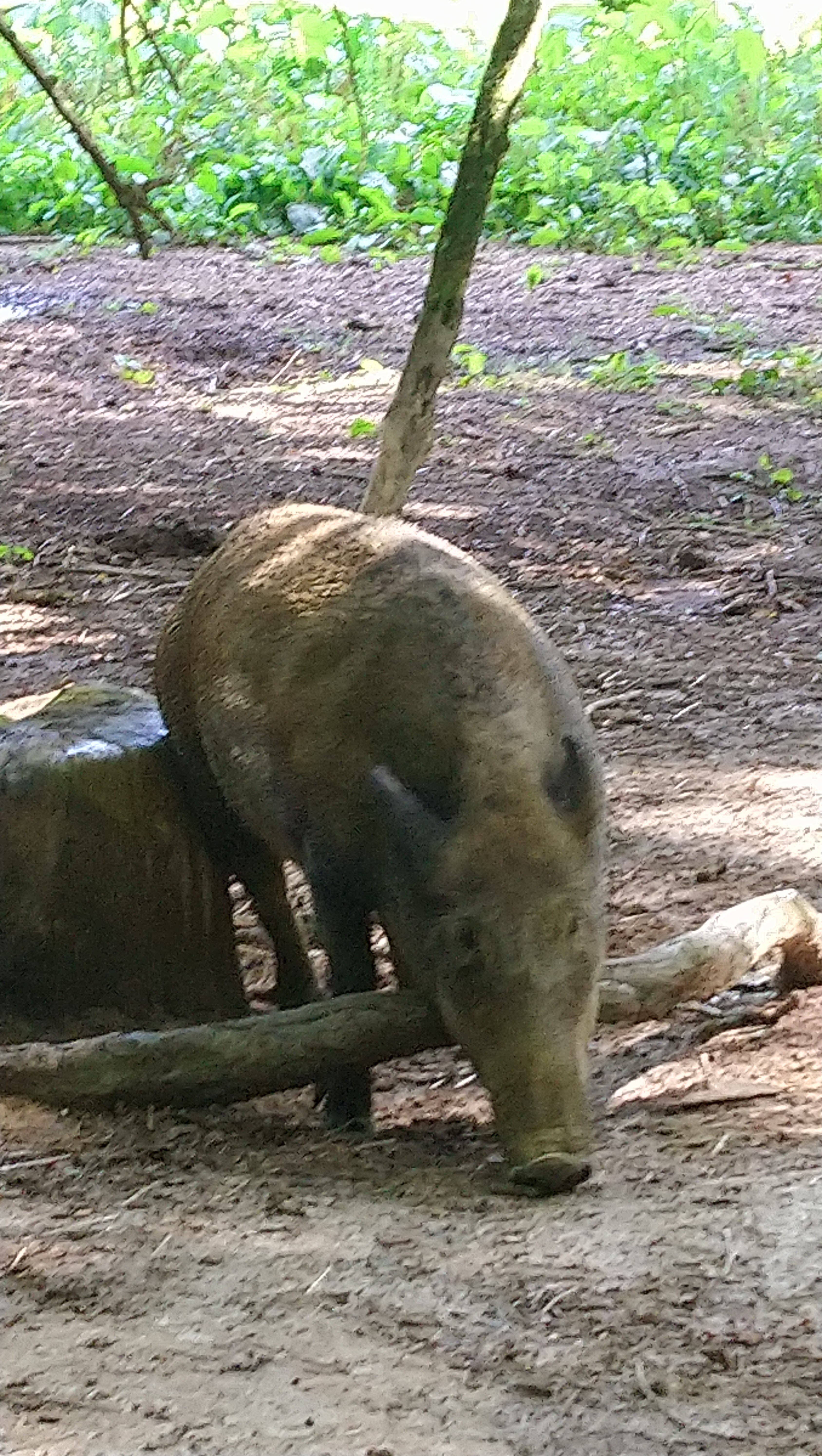 Photo n° 2 de l'avis de Chasis.a fait le 07/08/2019 à 15:52