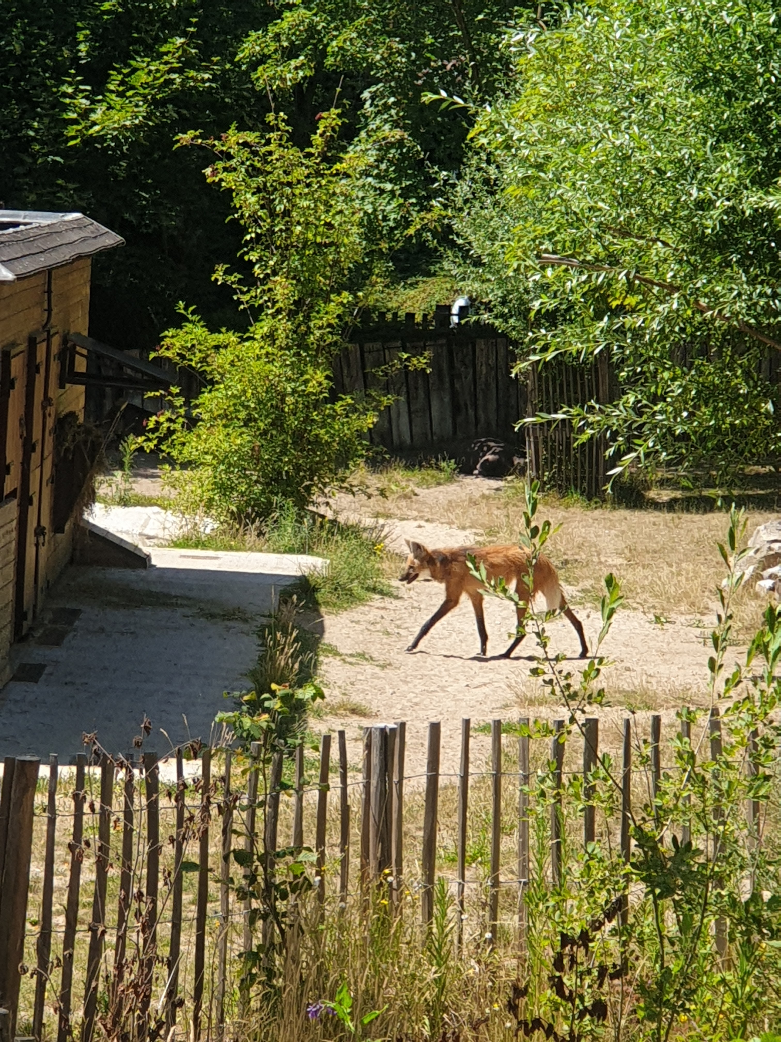 Photo n° 6 de l'avis de Ho.a fait le 16/07/2022 à 15:46