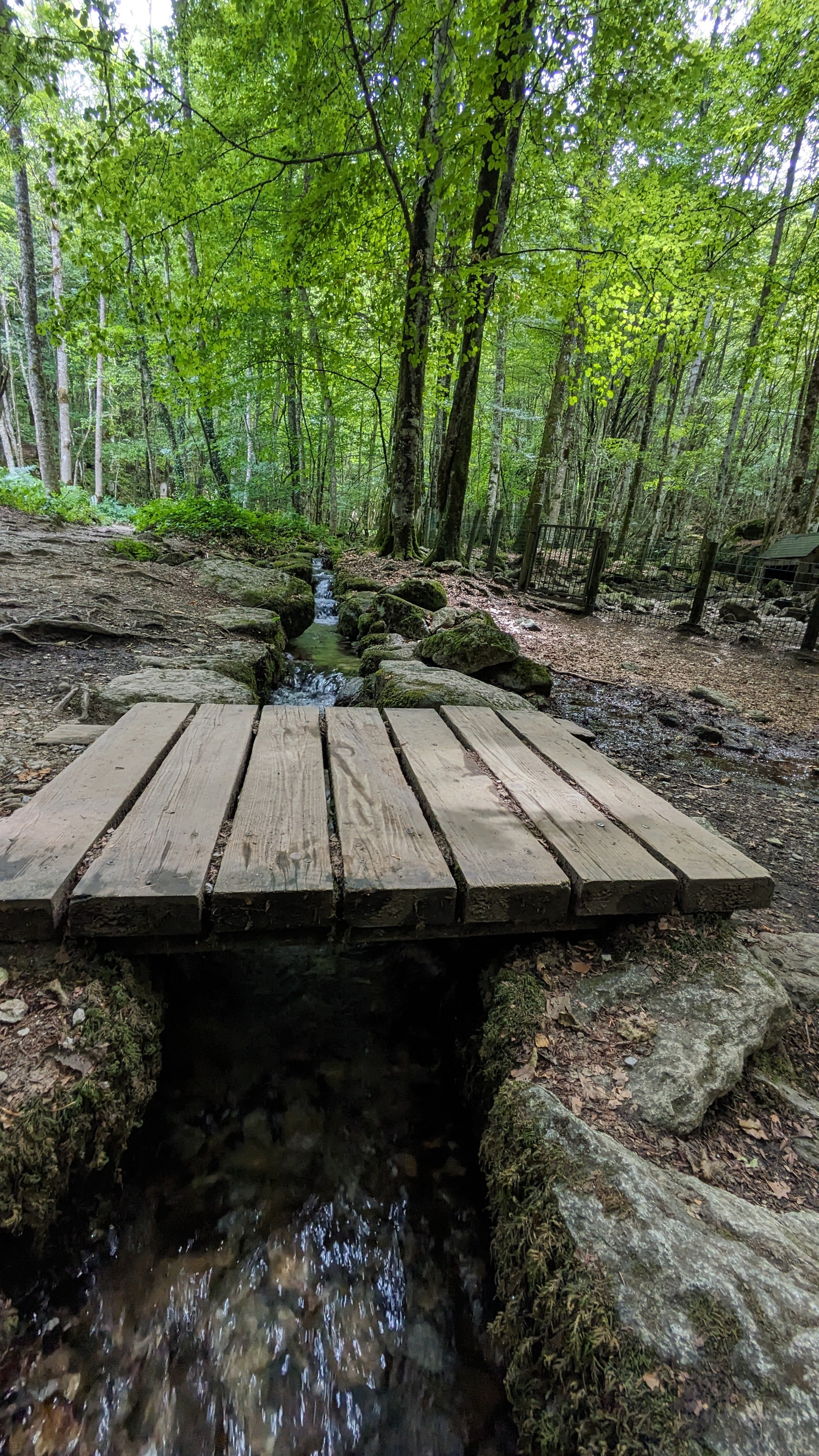 Photo n° 14 de l'avis de Dada.e fait le 15/08/2023 à 12:32