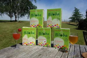 Biloba (jus fruits) image