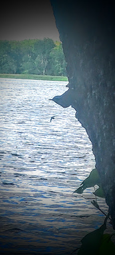 Nature Preserve «Maurice River Bluffs Preserve», reviews and photos, Silver Run Rd, Millville, NJ 08332, USA