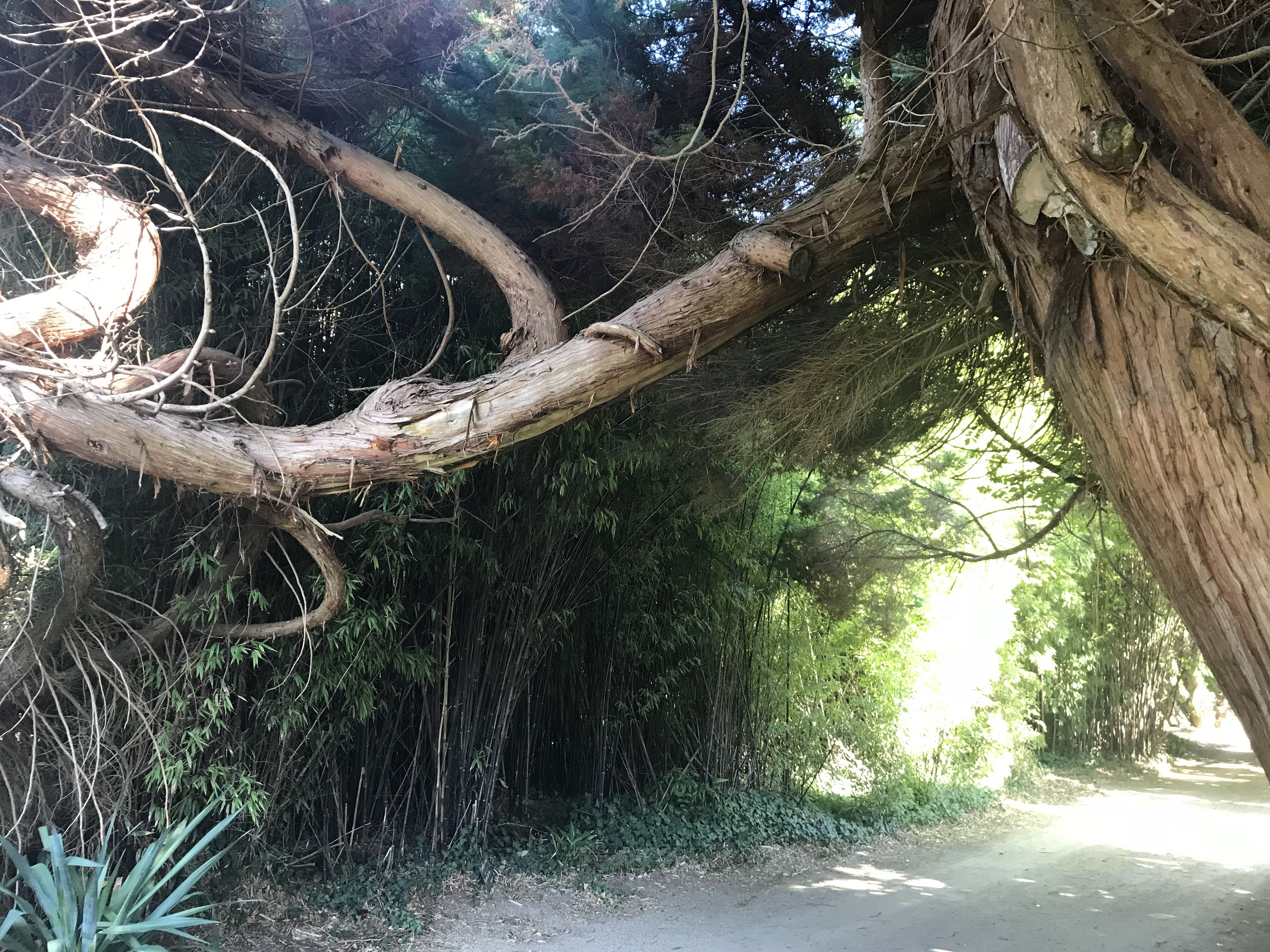 Photo n° 1 de l'avis de Erell.A fait le 10/10/2018 à 15:36