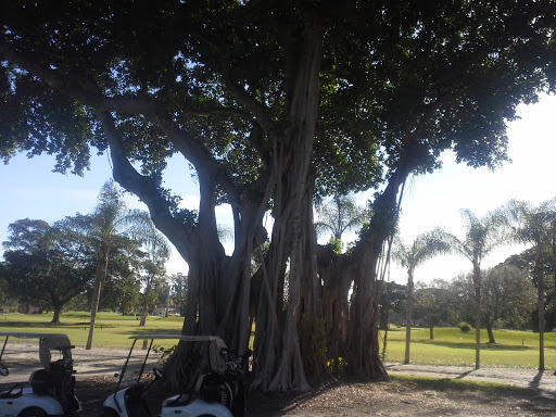 Public Golf Course «Hollywood Beach Golf Resort», reviews and photos, 1600 Johnson St, Hollywood, FL 33020, USA