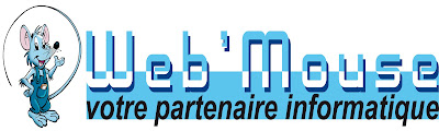 Web Mouse Informatique à Vaudricourt