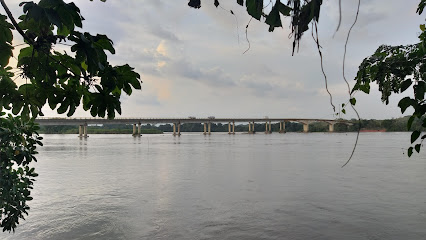 Puente Río Magdalena