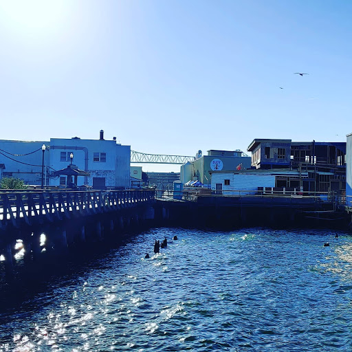 Grocery Store «Grocery Outlet Bargain Market», reviews and photos, 878 Molalla Ave, Oregon City, OR 97045, USA