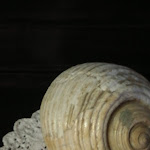 Photo n°8 de l'avis de Giovanna.v fait le 02/11/2018 à 08:41 sur le  Albergo ristorante Vittoria à Santhià