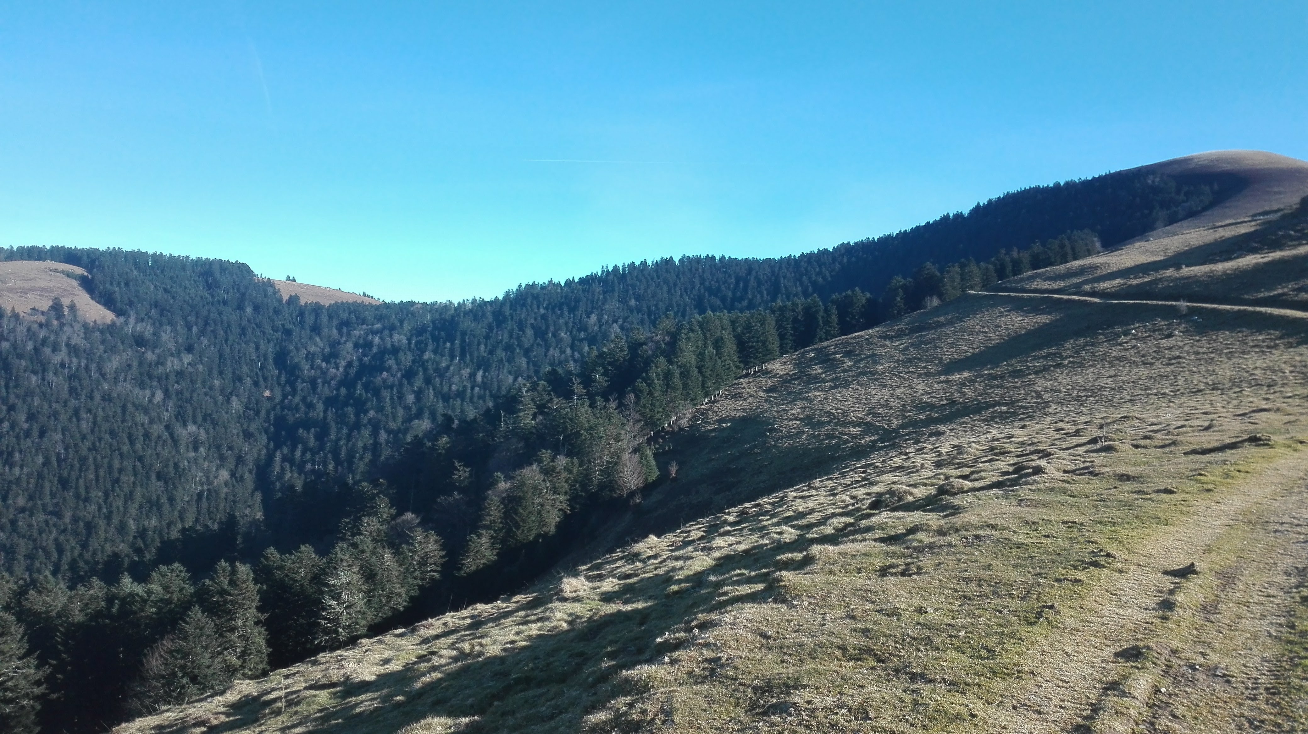 Photo n° 4 de l'avis de LOUIT.O fait le 15/01/2019 à 15:47
