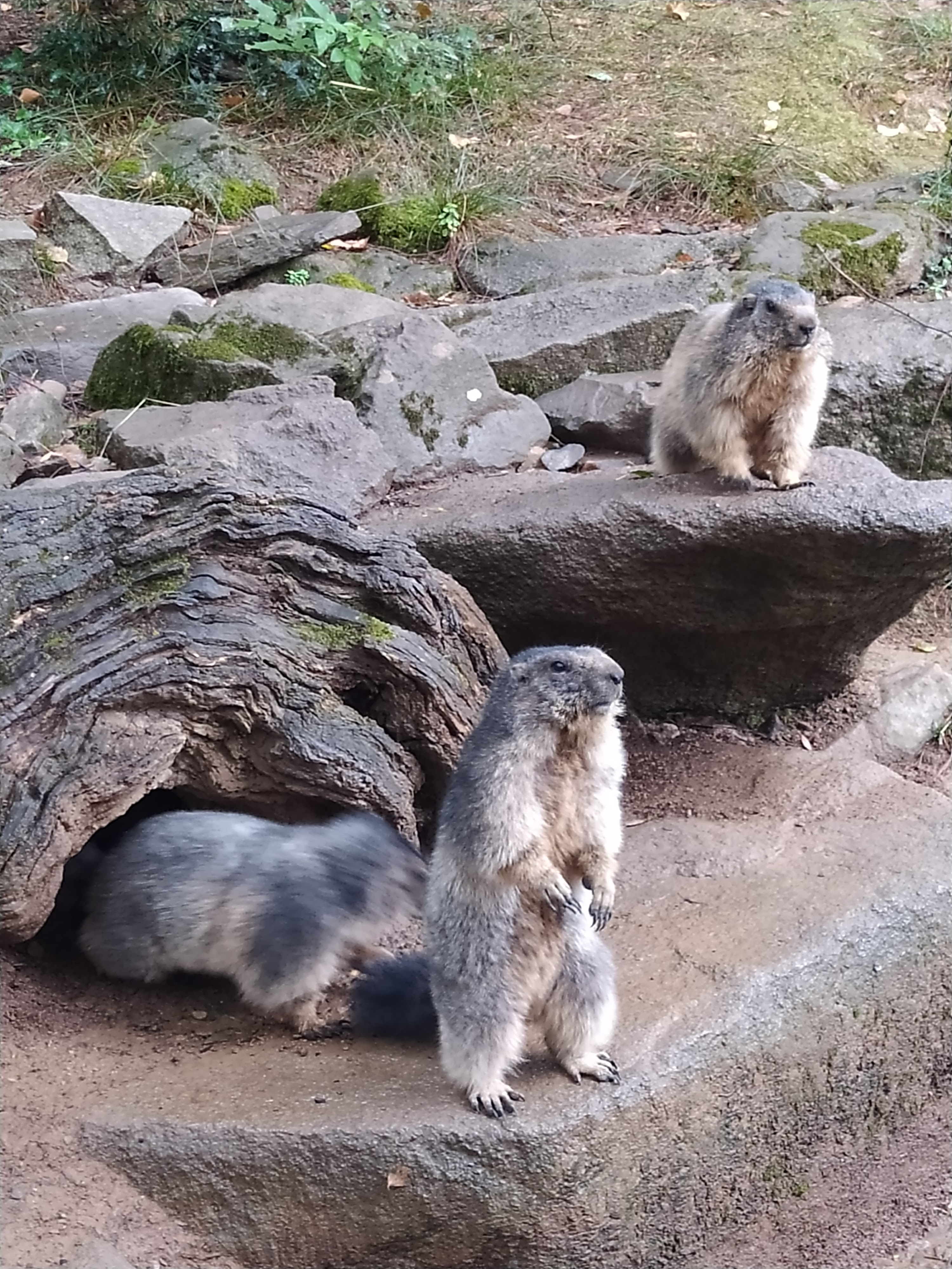 Photo n° 7 de l'avis de Raphael.. fait le 27/08/2023 à 16:43
