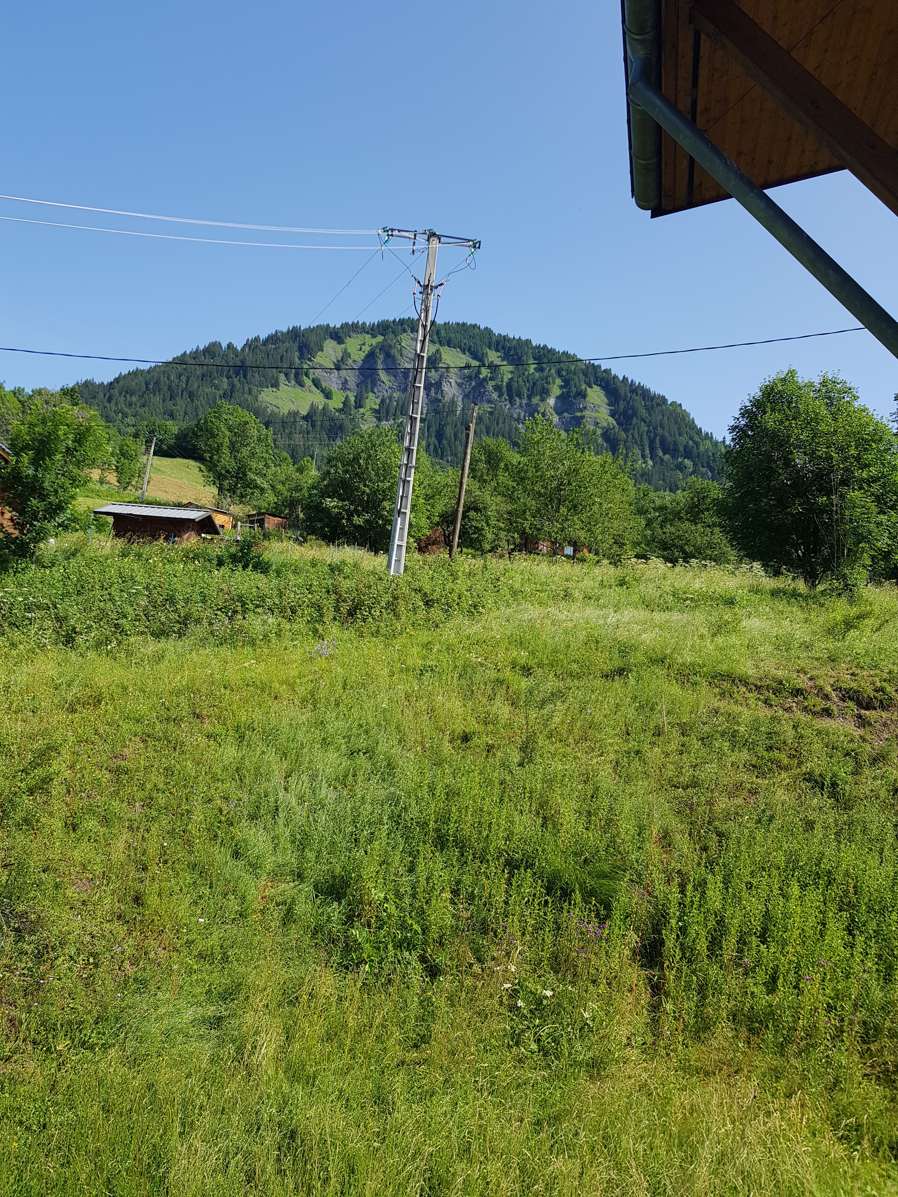 Photo n° 5 de l'avis de Eric.o fait le 04/07/2019 à 19:11
