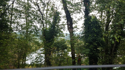 State Park «Willamette Stone State Heritage Site», reviews and photos, 253 NW Skyline Blvd, Portland, OR 97210, USA