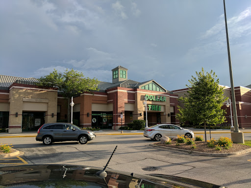 Dollar Store «Dollar Tree», reviews and photos, 1243 E Higgins Rd, Schaumburg, IL 60173, USA