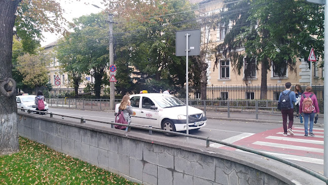 Liceul Teoretic Nicolae Bălcescu - Școală