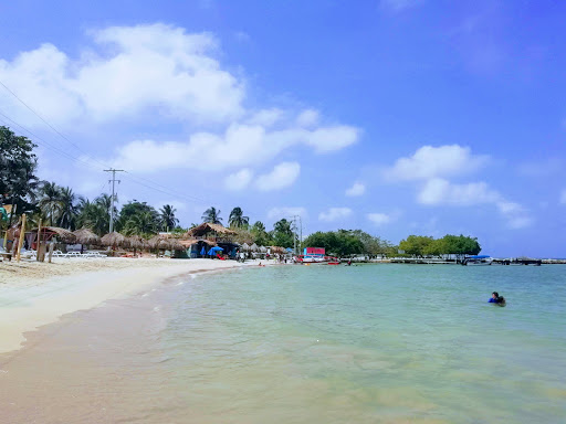 Isla Punta Arena