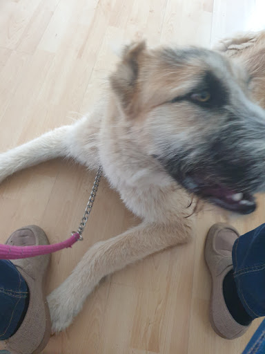 Clínica Veterinaria La Paz en Salamanca