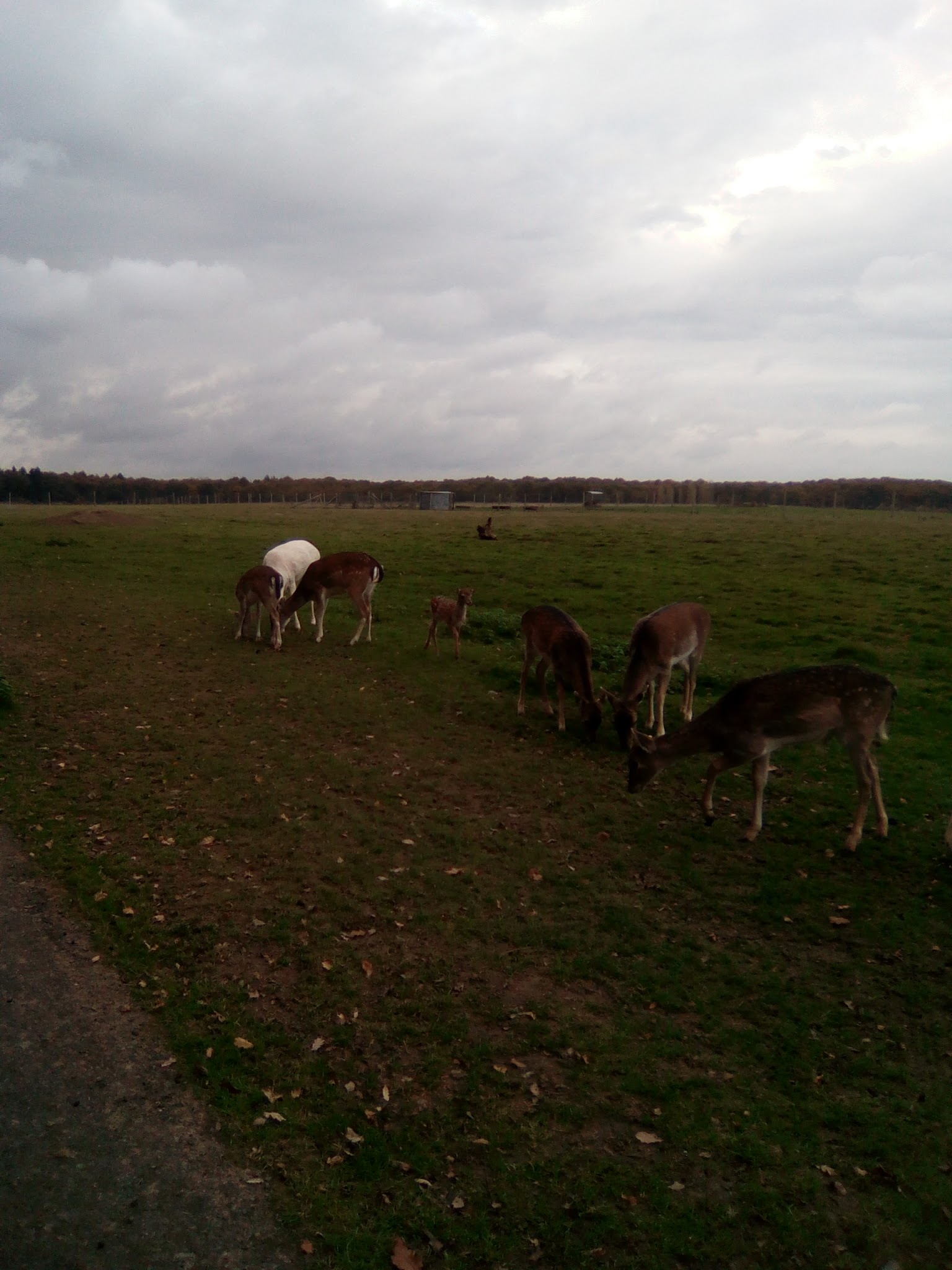 Photo n° 8 de l'avis de ingrid.v fait le 04/11/2017 à 19:49
