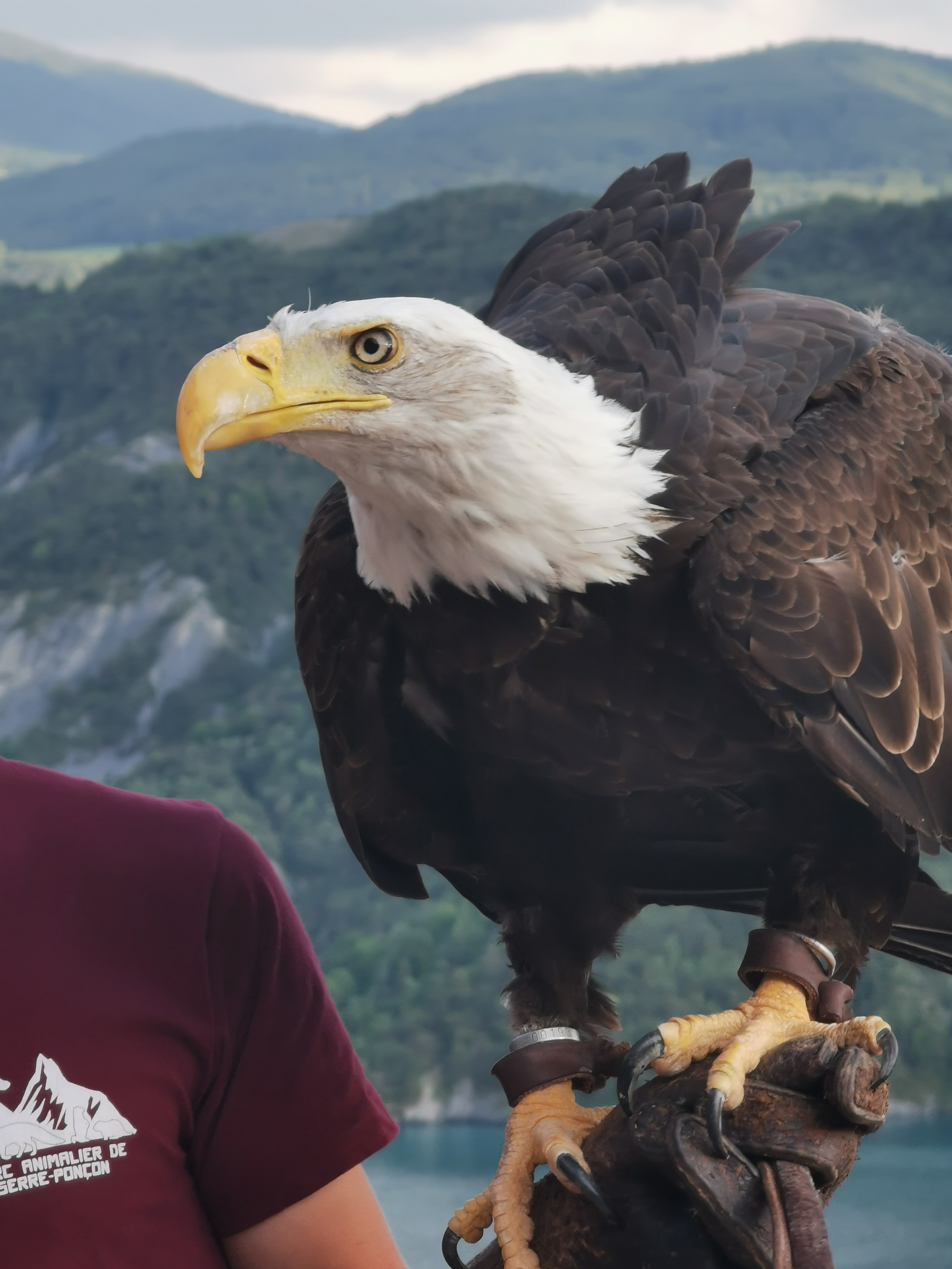 Photo n° 2 de l'avis de Mustapha.A fait le 30/07/2021 à 08:53