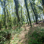 Photo n°1 de l'avis de Monica.u fait le 15/04/2024 à 10:52 sur le  Il Bosco di Paliano à Paliano