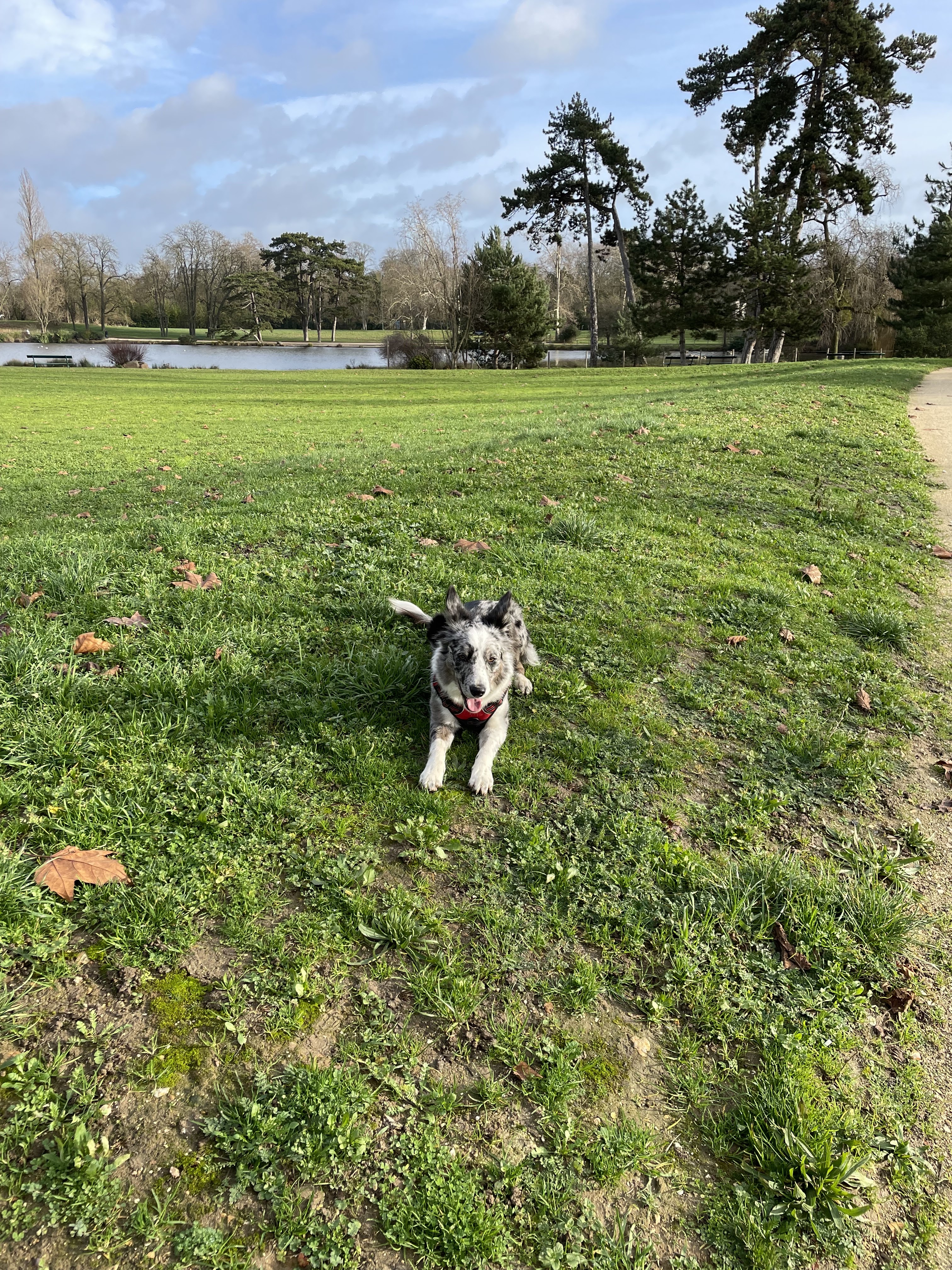 Photo n° 3 de l'avis de Hervé.r fait le 05/03/2023 à 22:04