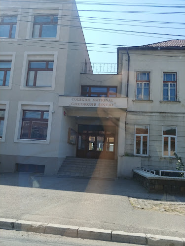Colegiul național Gheorghe Șincai " Baia Mare - Școală