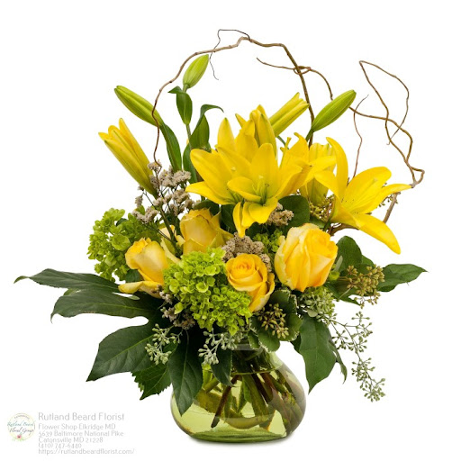 Florist «Rutland Beard Florist», reviews and photos, 5639 Baltimore National Pike, Catonsville, MD 21228, USA