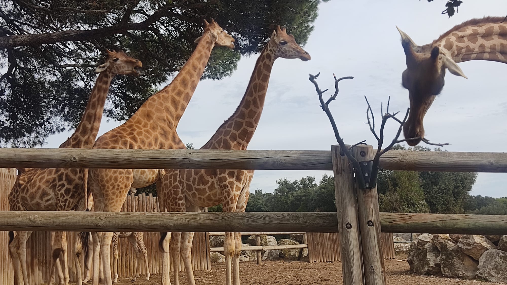 Photo n° 18 de l'avis de MURIEL.O fait le 27/10/2023 à 12:39