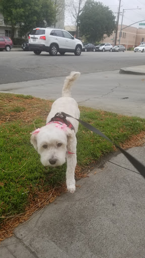 Pet Supply Store «Pet Haven», reviews and photos, 626 N Glenoaks Blvd, Burbank, CA 91502, USA