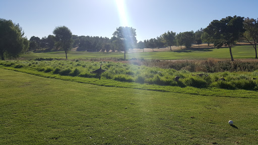 Golf Course «Delta View Golf Course», reviews and photos, 2232 Golf Club Rd, Pittsburg, CA 94565, USA
