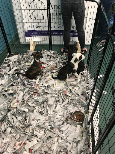 Pet Supply Store «Petco Animal Supplies», reviews and photos, 412 W Army Trail Rd, Bloomingdale, IL 60108, USA