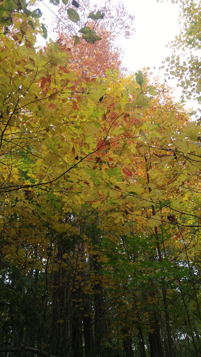 Golf Course «Percy Warner Golf Course», reviews and photos, 1221 Forrest Park Dr, Nashville, TN 37205, USA