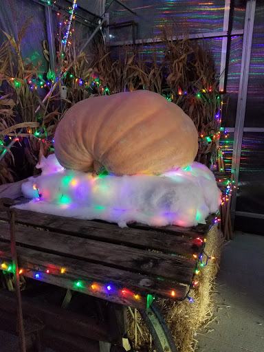 Tourist Attraction «Watt Christmas Wonderland», reviews and photos, 310 Scotchtown Rd, Goshen, NY 10924, USA