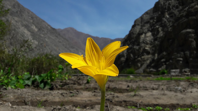 DK & J Diseño y Edicion - Tienda de informática