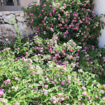 Photo n°6 de l'avis de Giovanni.u fait le 21/08/2019 à 20:23 sur le  Barone di Mare Hotel & Resort à San Cataldo