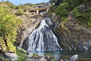 Dudhsagara Waterfall Camp Site image
