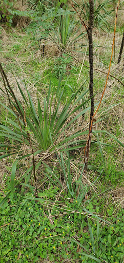 Park «John James Park», reviews and photos, 3910 Rittiman Rd, San Antonio, TX 78234, USA