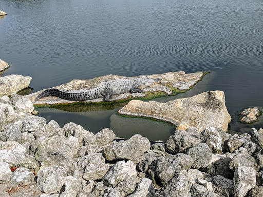 Golf Course «River Run Golf Links», reviews and photos, 1801 27th St E, Bradenton, FL 34208, USA