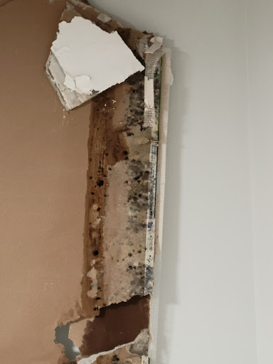 Roofing Contractor «Mr. Roof Nashville», reviews and photos